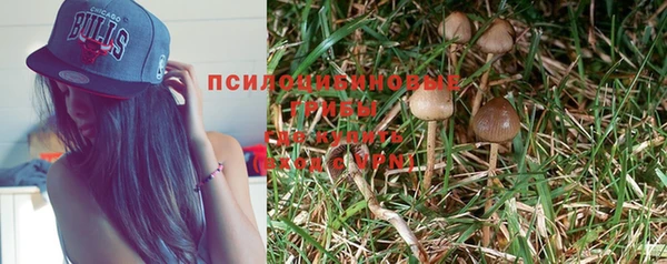 ешки Алексеевка