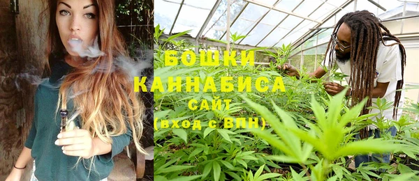дживик Сатка